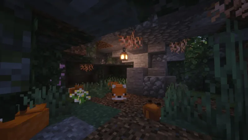 狐狸营地 Fox Camp