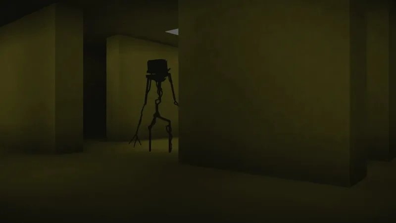 后室（录像带发现） The Backrooms (Found Footage)