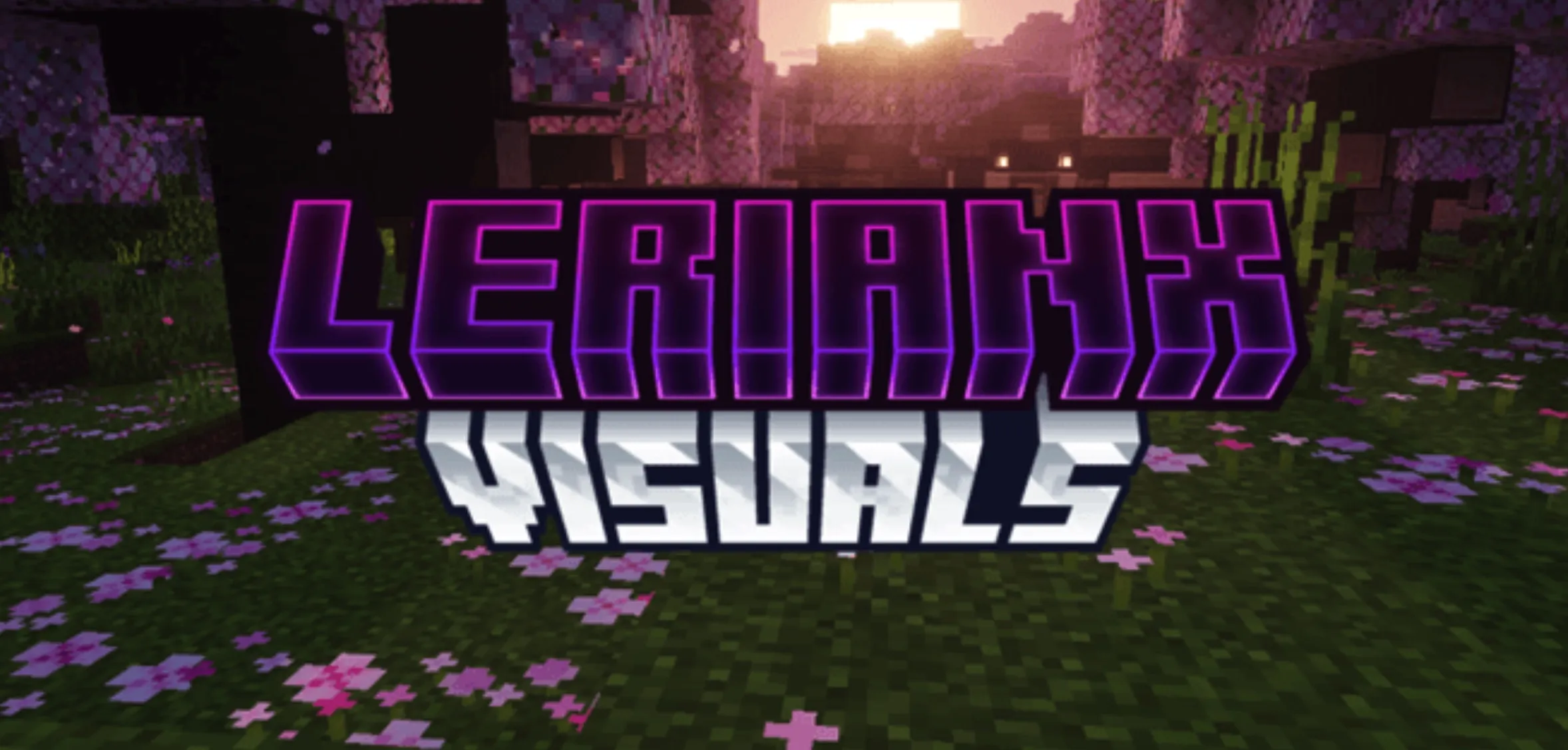LerianX Visuals