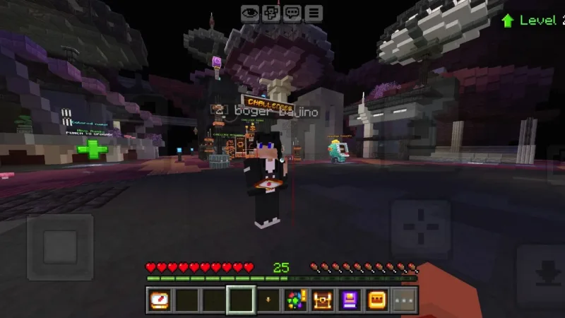 Java 命中箱 Java Hitbox