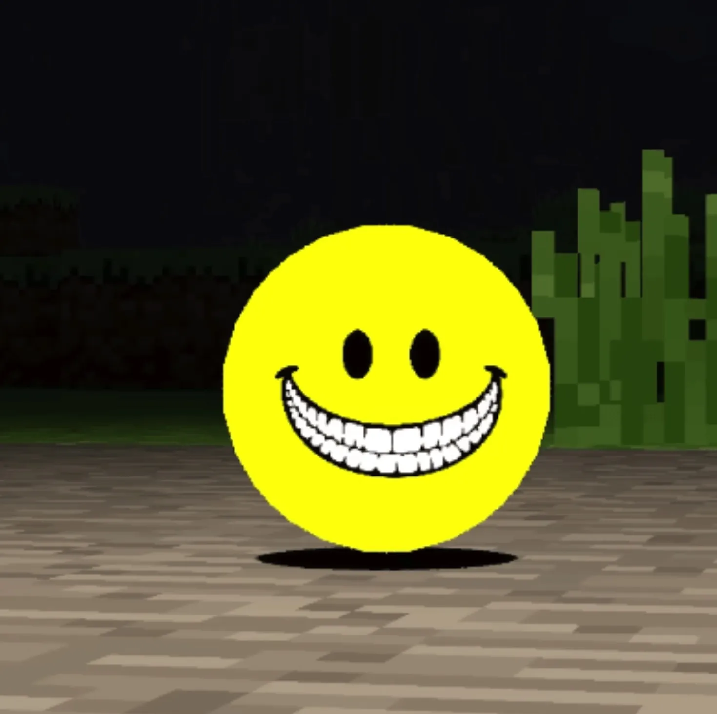 Verity Shader