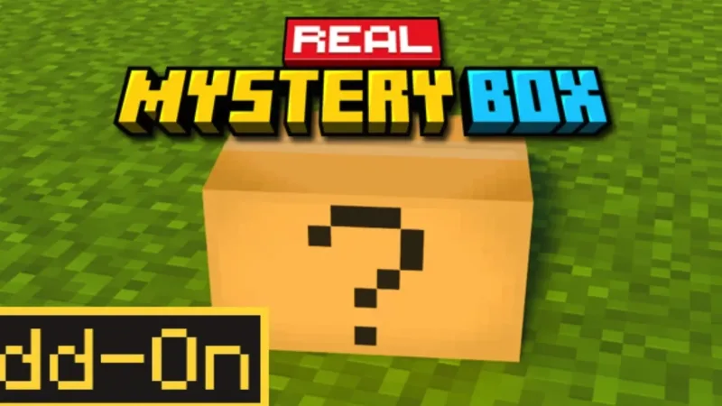真实神秘方块 Real Mystery Box