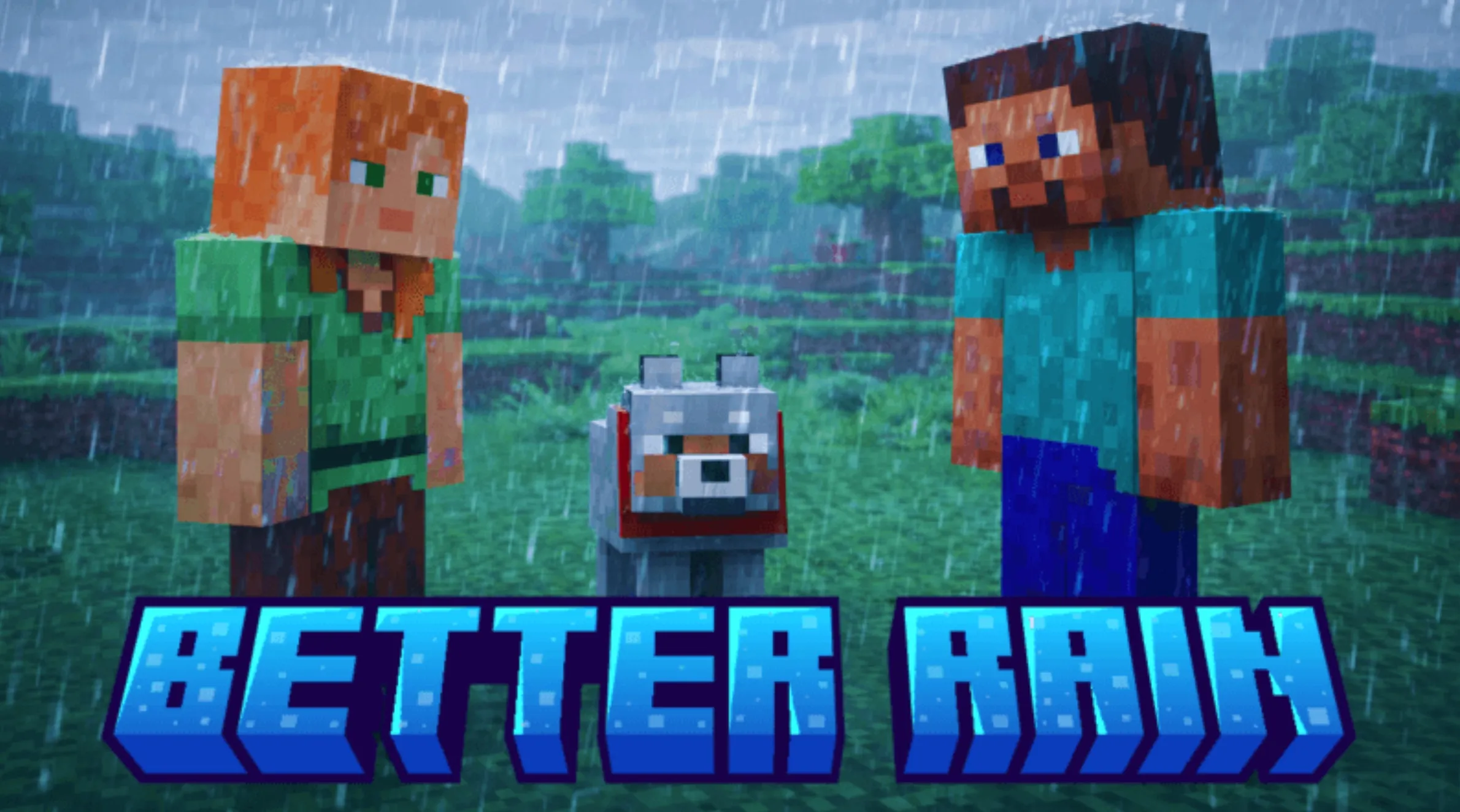 BETTER RAIN+