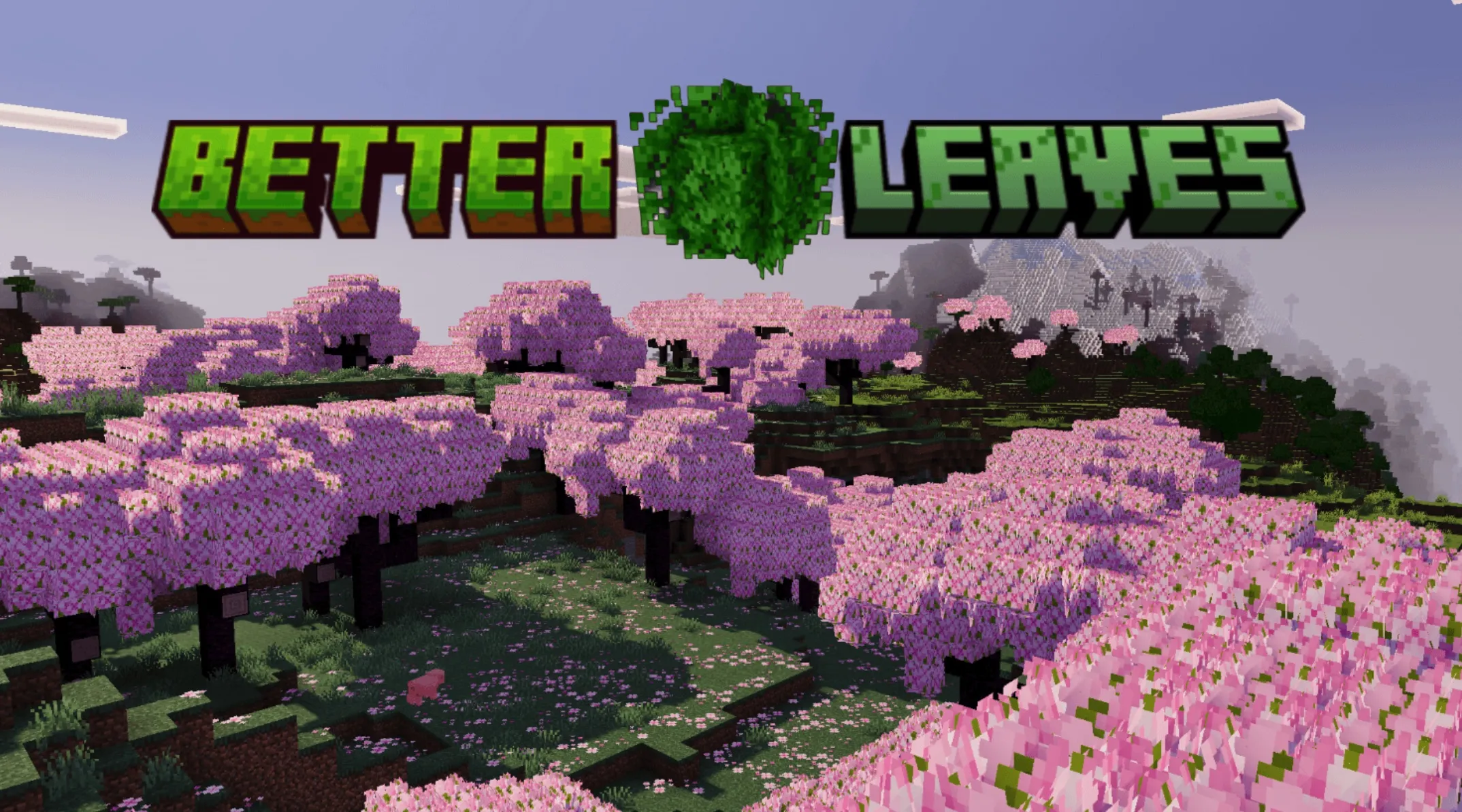 Reefy’s Better Leaves