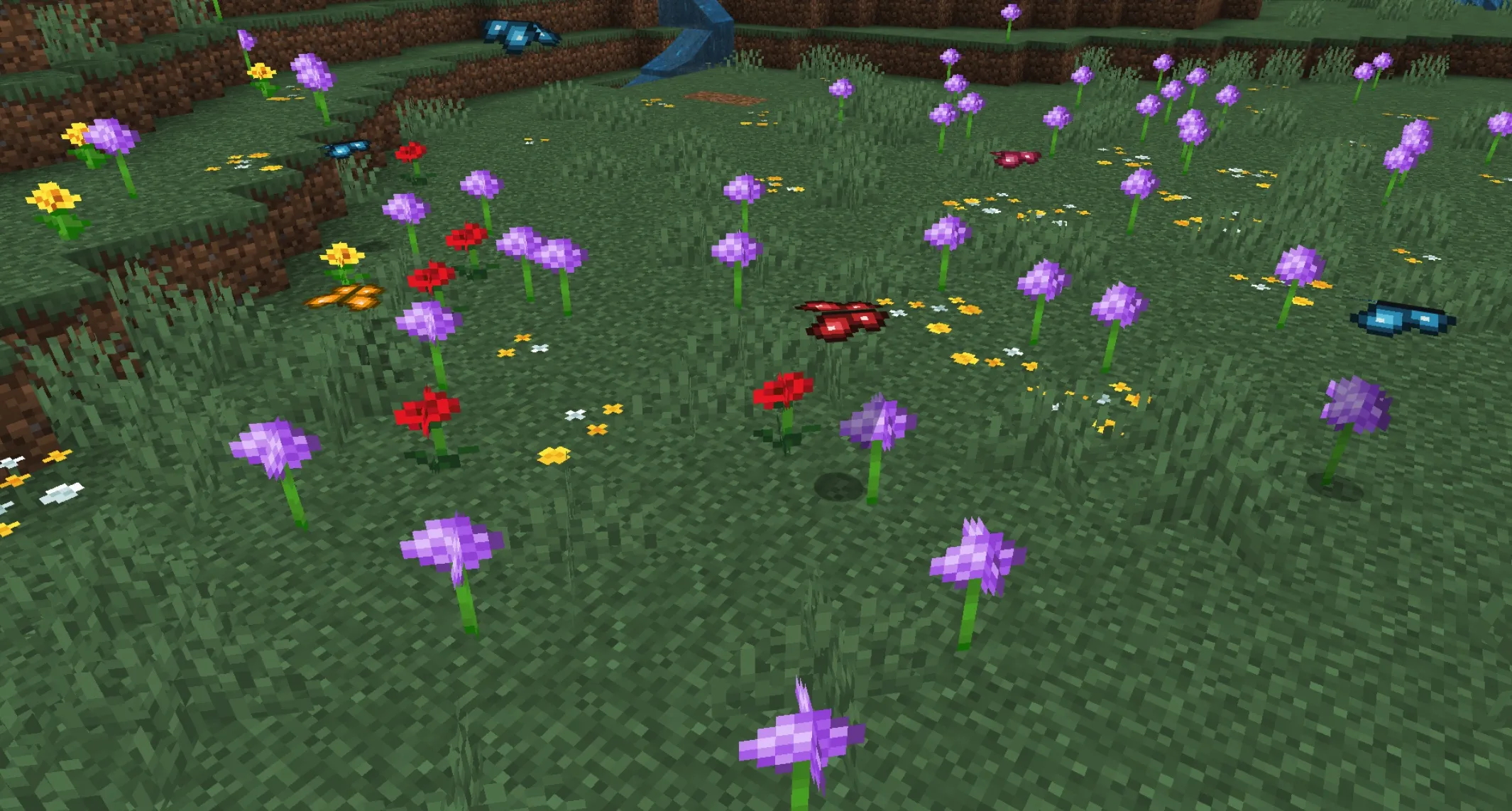 蝴蝶+ Butterflies+