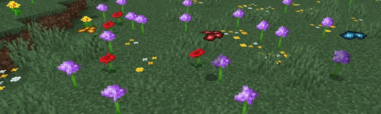 蝴蝶+ Butterflies+