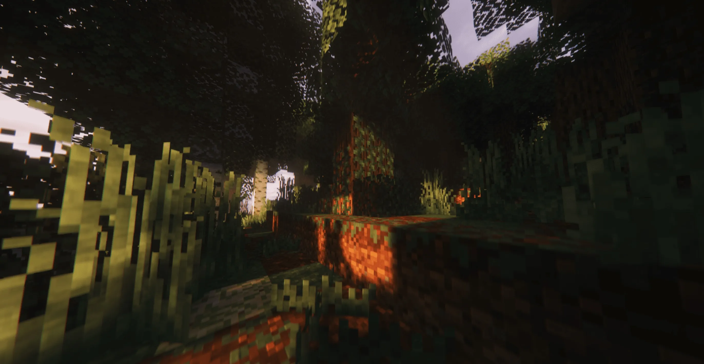 更佳体素 Better Voxels
