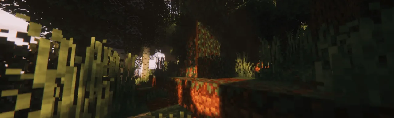 更佳体素 Better Voxels