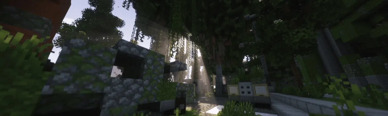 更佳体素 Better Voxels
