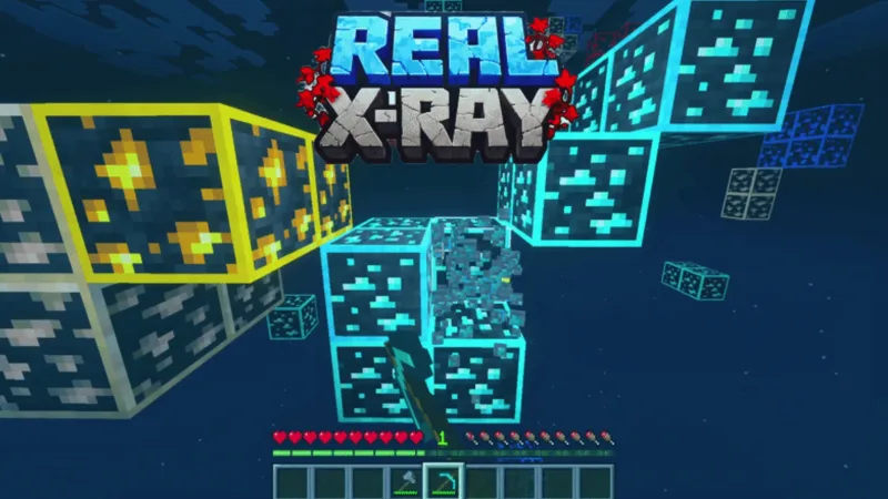真实透视 + 夜视 Real Xray + Night Vision