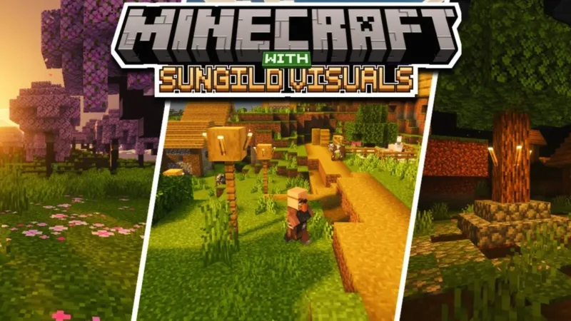 金辉视觉 Sungild Visuals