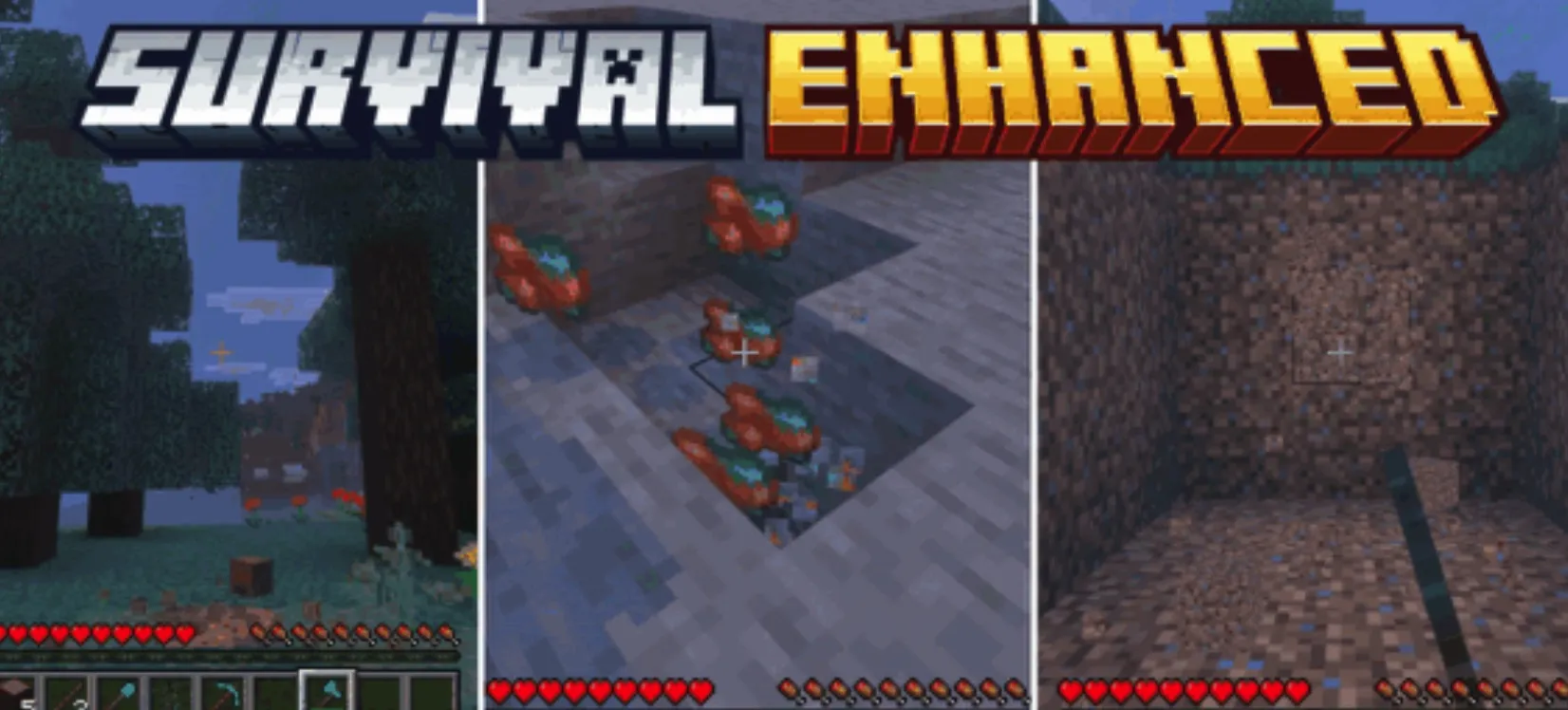 生存增强 Survival Enhanced