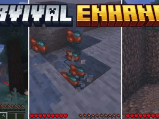 生存增强 Survival Enhanced