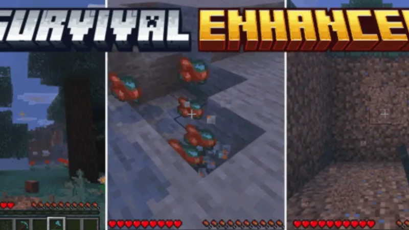 生存增强 Survival Enhanced