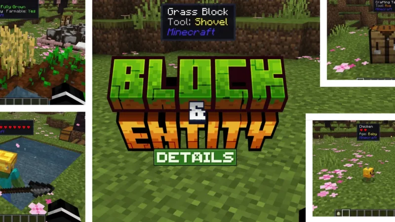 方块与实体详情 Block & Entity Details