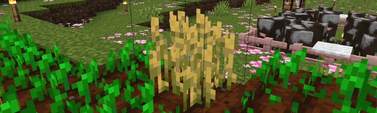 方块与实体详情 Block & Entity Details