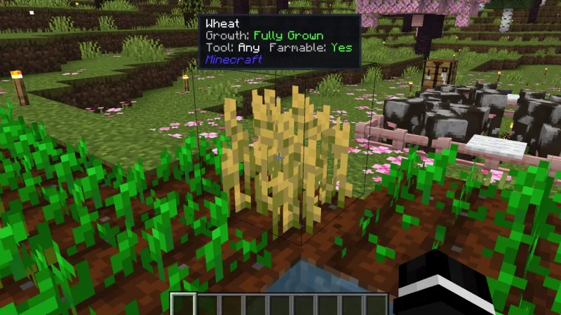 方块与实体详情 Block & Entity Details