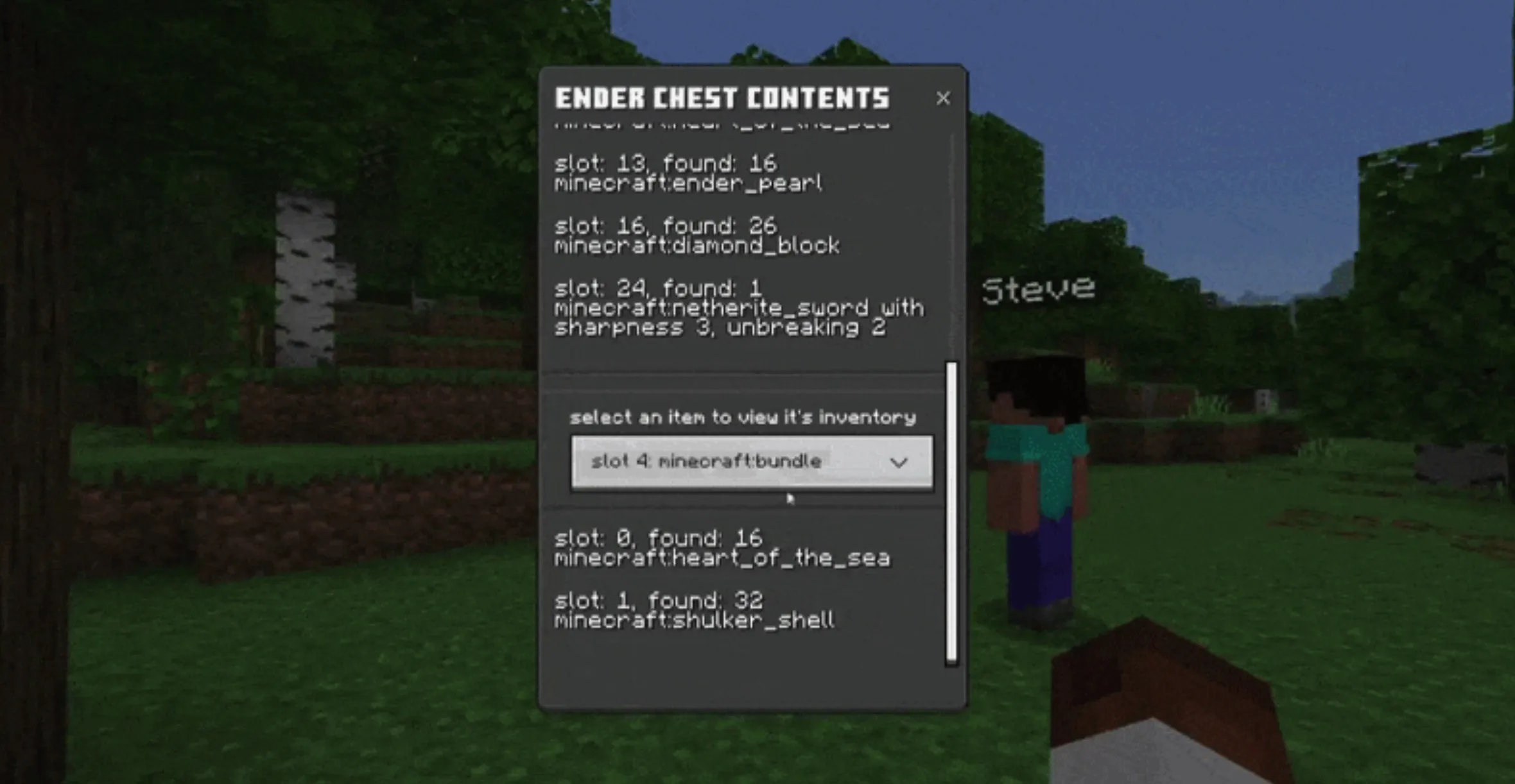 末影箱查看器 Ender Chest Viewer