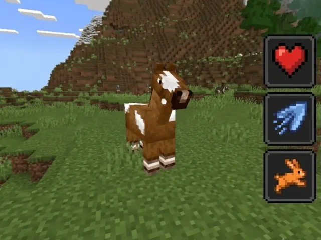 马匹属性 Horse Attributes