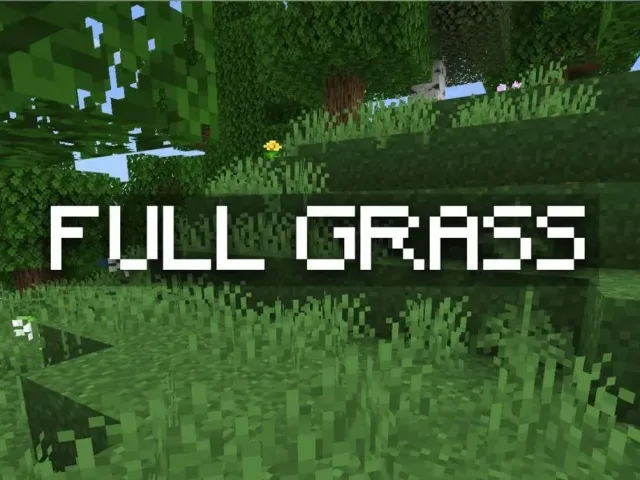 完整草地 | 快速草地 Full Grass | Fast Grass