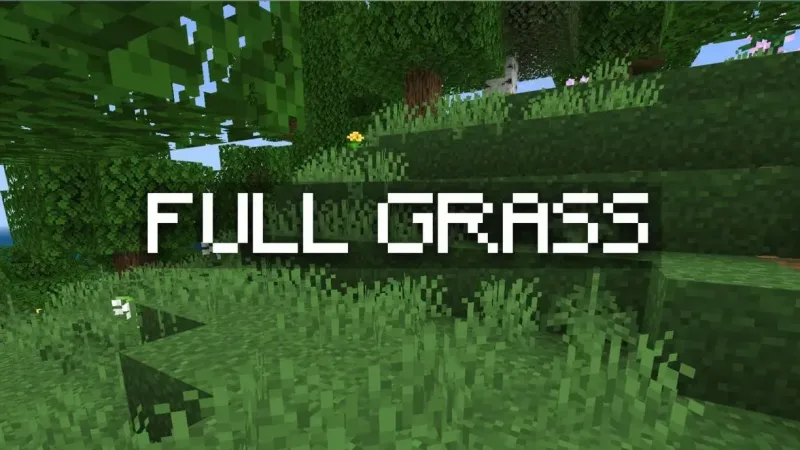 完整草地 | 快速草地 Full Grass | Fast Grass