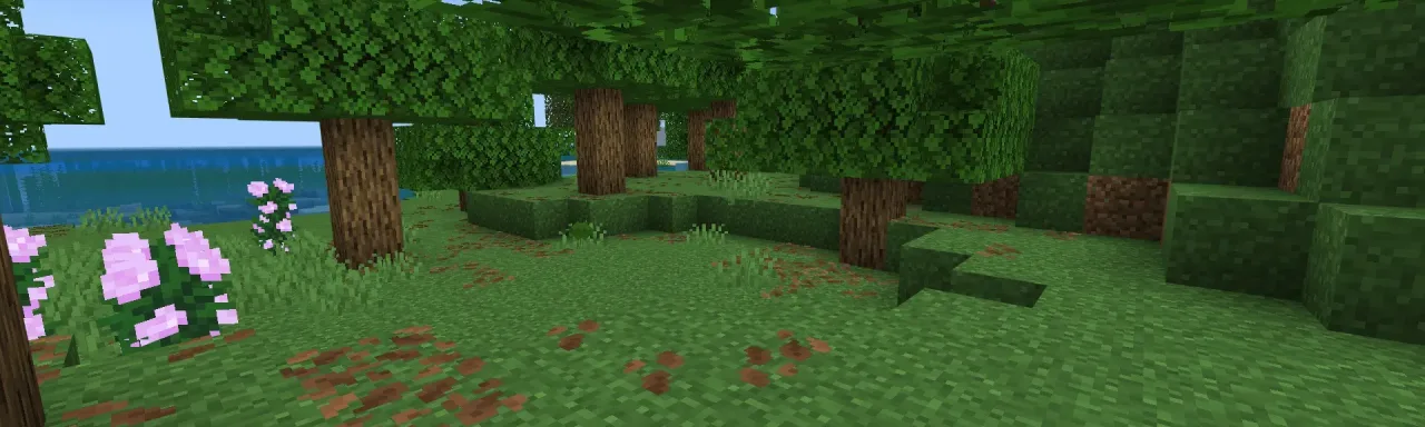 完整草地 | 快速草地 Full Grass | Fast Grass