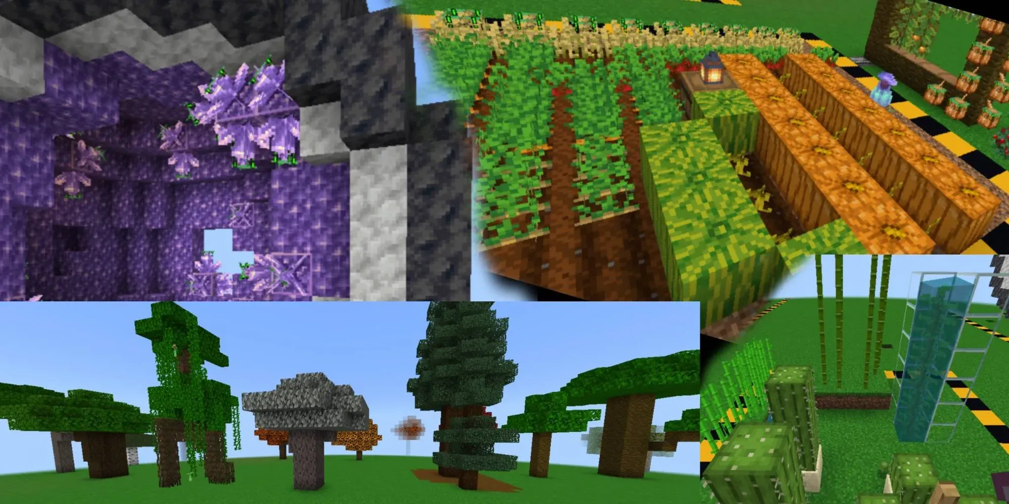 离线植物生长 Offline Plant Growth