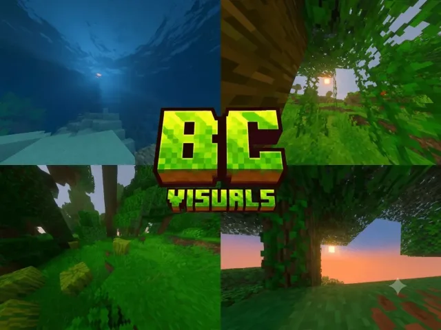 BC 视觉 BC Visual