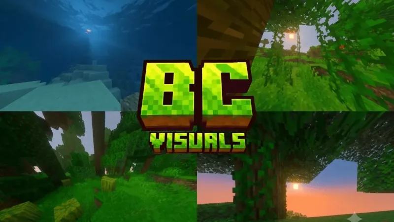 BC 视觉 BC Visual