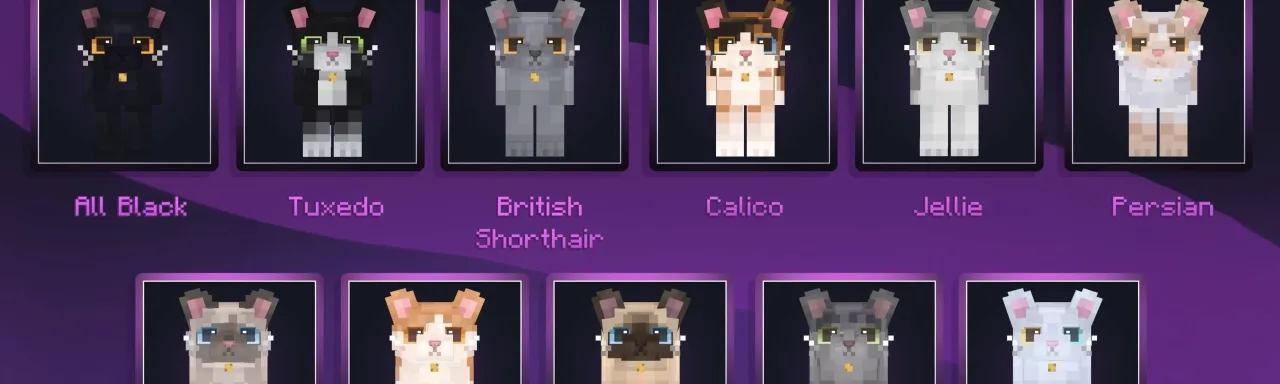 焕新猫咪 Refined Cats