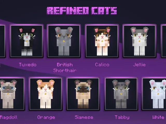 焕新猫咪 Refined Cats