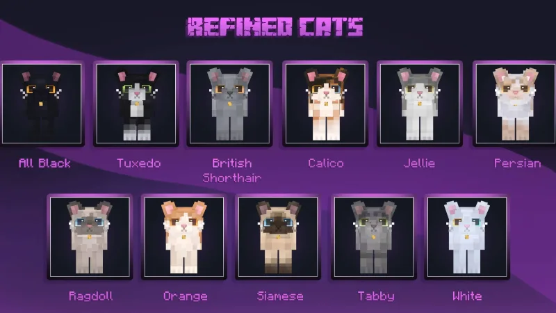 焕新猫咪 Refined Cats