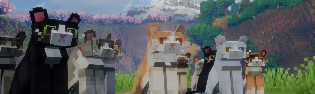 焕新猫咪 Refined Cats