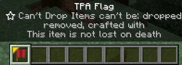 TPA 旗子：无需作弊的传送请求、传送点与随机传送附加包 TPA Flag