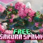 樱花出生点 Sakura Spawn