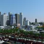 洛佩里托城 Los Perrito City