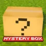 真实神秘方块 Real Mystery Box