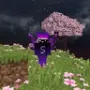 Sammy Purple