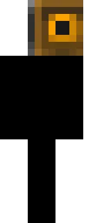 网友的